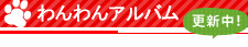 わんわんアルバム